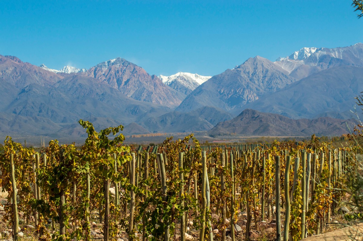 Corazon del Sol in the Uco Valley, Argentina